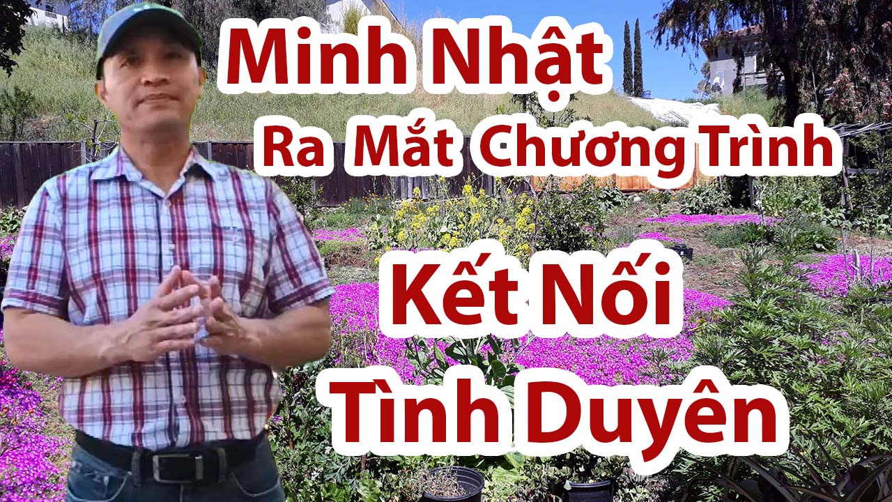 trò chơi miễn phí Bình Dương rút tiền